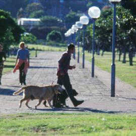 Bicentennial Park Glebe Point.