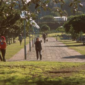 Bicentennial Park Glebe Point.