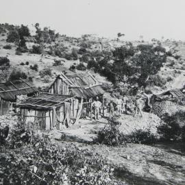 Rural Scene