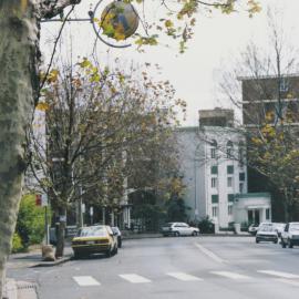 Plane Trees