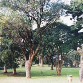 Naval Garden