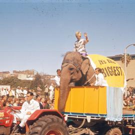 Elephant, Waratah Spring Festival parade, College Street Sydney, circa 1950s