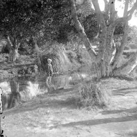 Boy wading in a pond in Centennial Park, Paddington, 1932