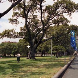 Prince Alfred Park, Cleveland Street Surry Hills, 2004