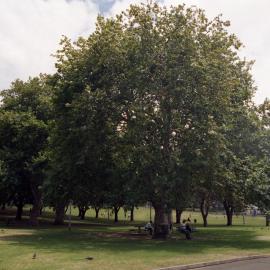 Prince Alfred Park