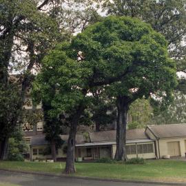 Prince Alfred Park