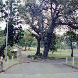 Prince Alfred Park