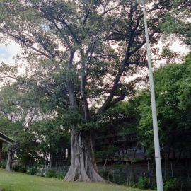 Prince Alfred Park