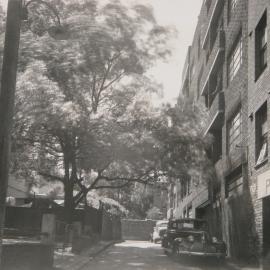 Potts Point Laneway