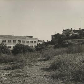View of vacant land looking from Hereford Street towards Ross Street and Wigram Lane Glebe, 1956