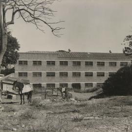 View of vacant land looking from Hereford Street towards Ross Street and Wigram Lane Glebe, 1956