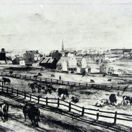 Drawing of Old South Head Road Surry Hills, 1800s
