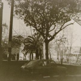 Bourke Street Park, Surry Hills