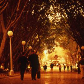 Avenue of trees in Hyde Park, Elizabeth Street Sydney, no date