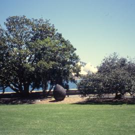 Magnolia sculpture, Royal Botanic Gardens Sydney, 1999