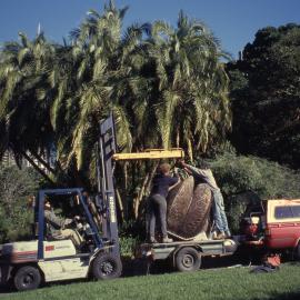 Transportation of Magnolia Sculpture.