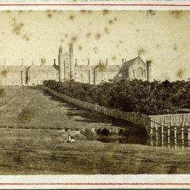 University of Sydney Camperdown, 1800s