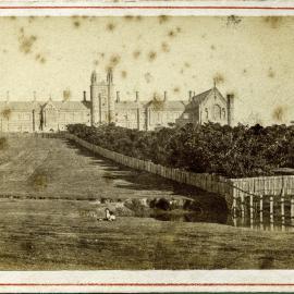 University of Sydney Camperdown, circa 1850s