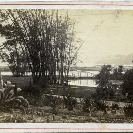 Ponds of the Royal Botanic Gardens, Farm Cove Sydney, 1860