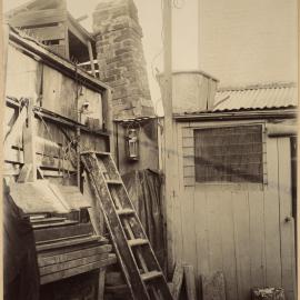 Print - Rear yard in Nicholson Street Woolloomooloo,  1900