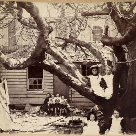 Print - Cottage in High Holborn Street Surry Hills, circa 1900