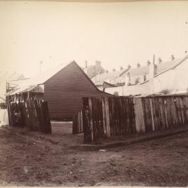 Print - Cottage in Albert Street Pyrmont, 1901