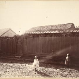 Print - Cottage in Albert Street Pyrmont, 1901