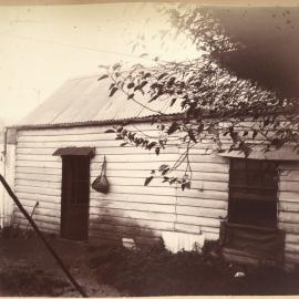 Print - Dwelling in Arthur Street Surry Hills, 1901