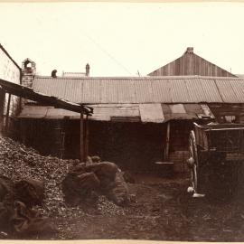 Print - Backyard in Crown Street Darlinghurst, 1901