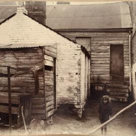 Print - Cottage and backyard in Campbell Street Surry Hills, 1901 