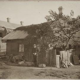 Print - Dwellings in Water and Gordon Streets Annandale, circa 1909