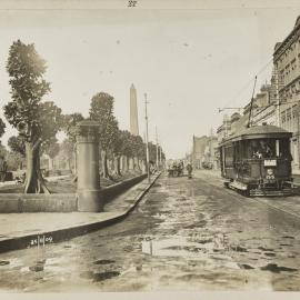Print - Looking south along Elizabeth Street from Park Street Sydney, 1909