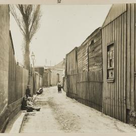 Print - View along Harkness Lane from Cleveland Street Chippendale, circa 1909
