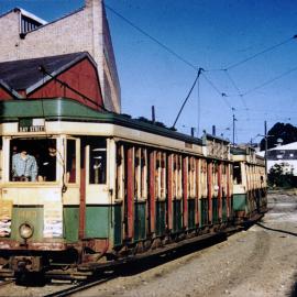 Parked trams in Gregory Avenue, Moore Park