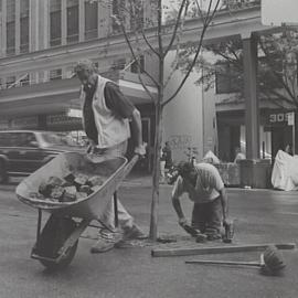 Workman laying blocks around a tree base in the new wider footpaths, Pitt Street Sydney, 2000