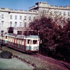 Tram passing Belmore Park, Hay Street Haymarket, 1954