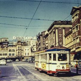 Tram in William Street Darlinghurst, 1954