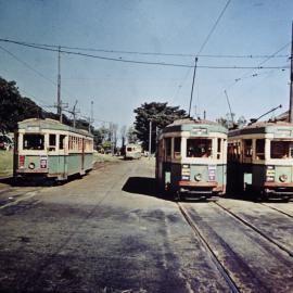 Trams at Robertson Road, Moore Park