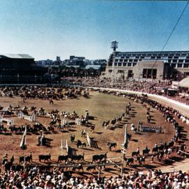 Grand Parade, Royal Easter Show, Moore Park, 1950