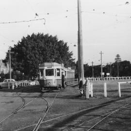 Trams in Driver Avenue, Moore Park, 1956