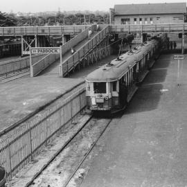 Trams at Royal Randwick Racecourse