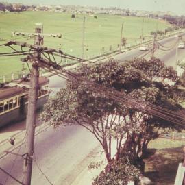 Traffic in Dacey Avenue, Moore Park