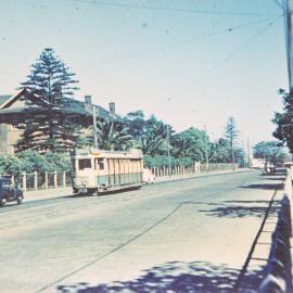 Tram in Anzac Parade