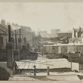 Print - Terrace houses and backyards, Ultimo Street Haymarket, 1910