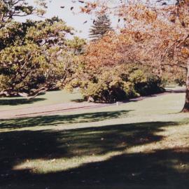 Royal Botanic Gardens, Sydney, 1986