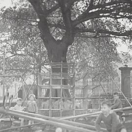 Kids playing at Moore Park, children's playground Moore Park, 1936