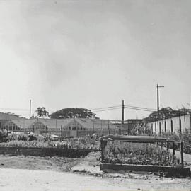 Beds, propagating boxes and greenhouses at the Council nursery, Bay Street Ultimo, 1936
