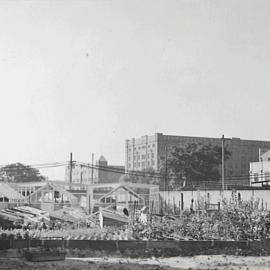 Council nursery, Bay Street Ultimo, 1936