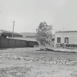 Council nursery, Bay Street Ultimo, 1936