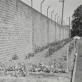 Garden beds at Council's nursery, Bay Street Ultimo, 1936